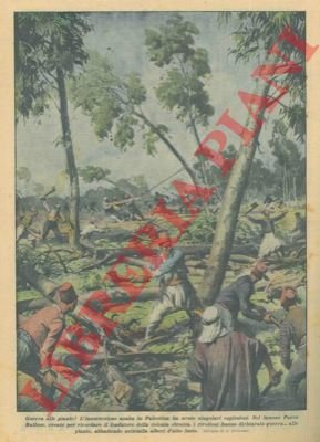 L'insurrezione araba in Palestina ha avuto singolari esplosioni. Nel famoso …