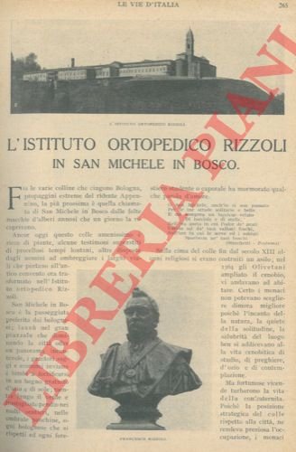 L'Istituto Ortopedico Rizzoli in San Michele in Bosco.