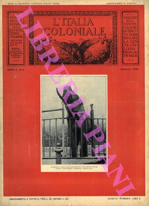 L'Italia coloniale. Organo delle nostre colonie di diretto dominio e …