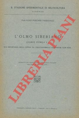L'olmo siberiano (Ulmus pumila L.) sua importanza nella difesa da …