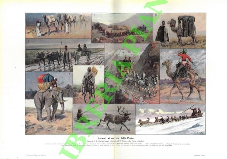 L'uomo e la terra. Origine, conquista e impiego dei tesori …