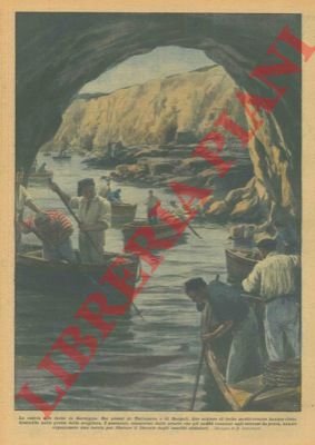 La caccia alle foche in Sardegna. Nei pressi di Terranova …