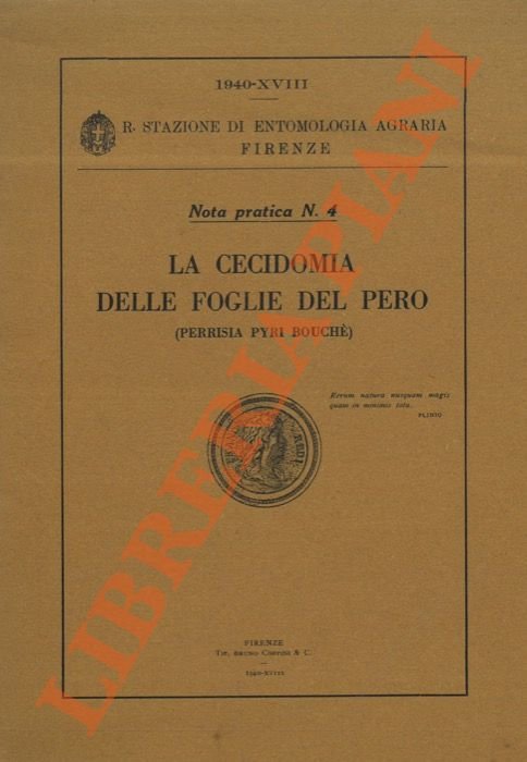 La Cecidomia delle foglie del Pero (Perrisia pyri Bouchè). | Immagine Gallery 2