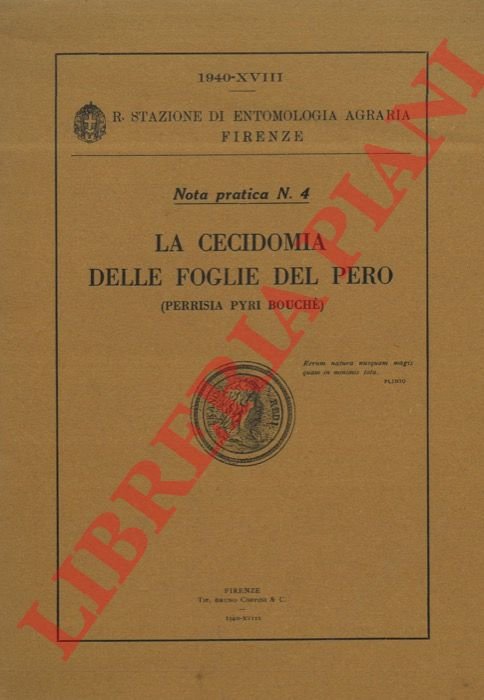 La Cecidomia delle foglie del Pero (Perrisia pyri Bouchè). | Immagine Gallery 3