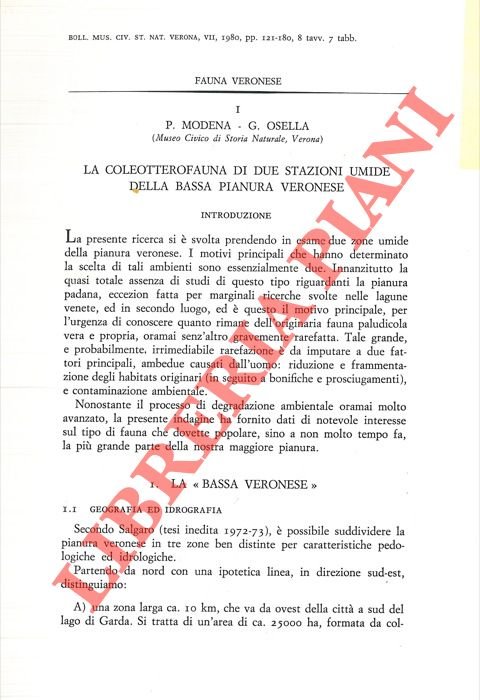 La coleotterofauna di due stazioni umide della bassa pianura veronese. | Immagine Gallery 2