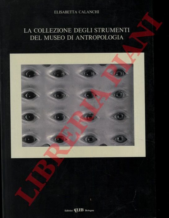 La collezione degli strumenti del Museo di Antropologia.