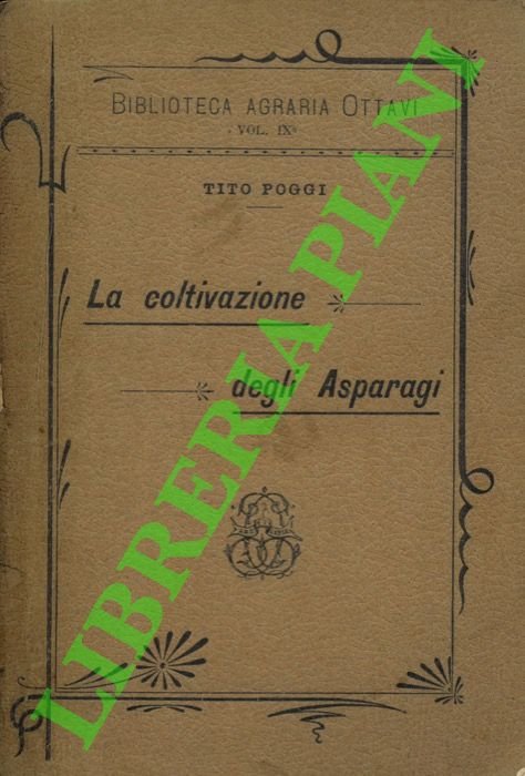 La coltivazione degli asparagi. | Immagine Gallery 2
