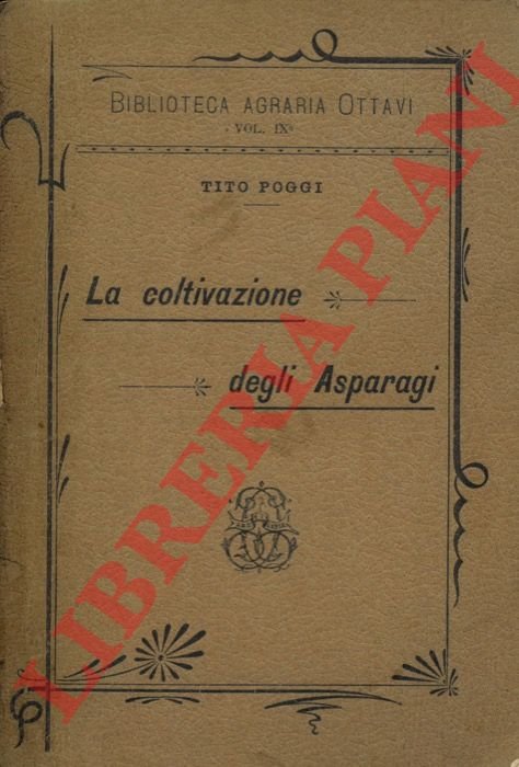 La coltivazione degli asparagi. | Immagine Gallery 3