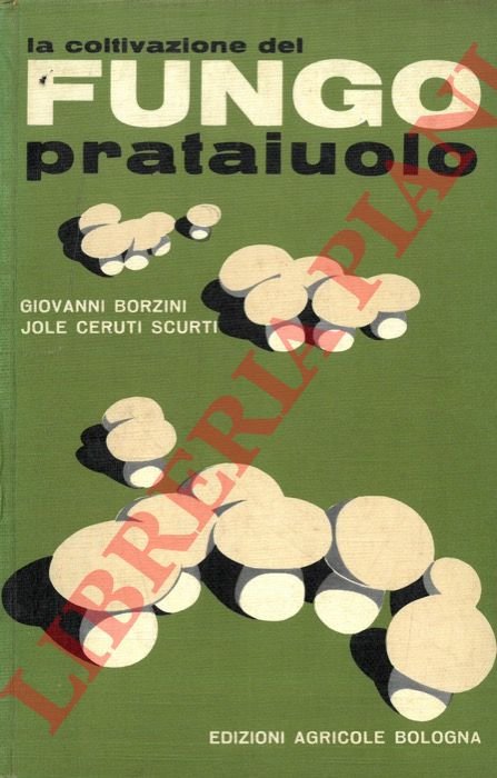 La coltivazione del fungo prataiuolo.