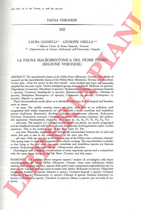 La fauna macrobentonica del fiume Fibbio (regione veronese) . | Immagine Gallery 3