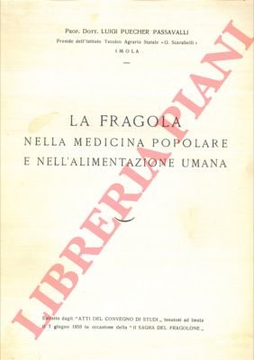 La fragola nella medicina popolare e nell'alimentazione umana.