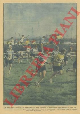 La gara delle "gazzelle" all'Ippodromo di S. Siro. Il salto …