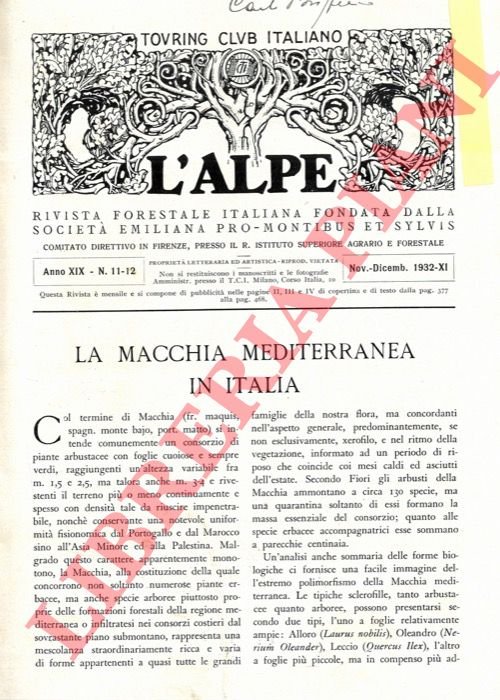 La macchia mediterranea in Italia. La macchia mediterranea nella selvicoltura … | Immagine Gallery 3