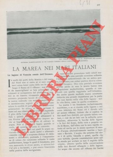 La marea nei mari italiani. | Immagine Gallery 2