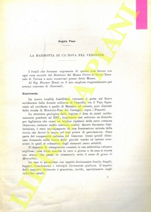 La Marmotta di Ca' Nova nel veronese. | Immagine Gallery 2