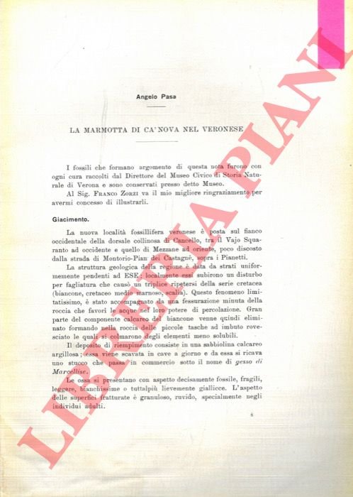 La Marmotta di Ca' Nova nel veronese. | Immagine Gallery 3