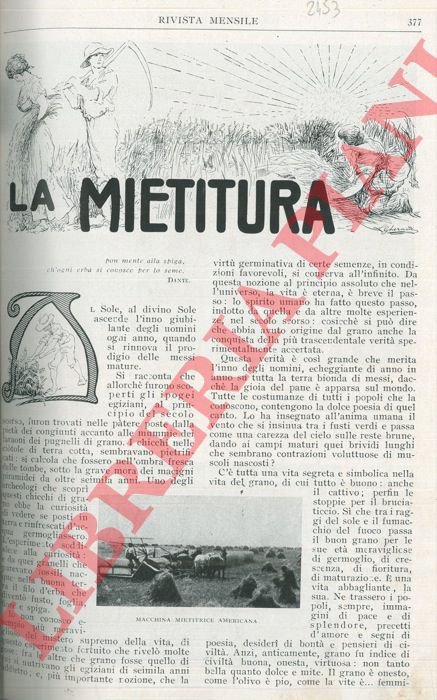 La mietitura.