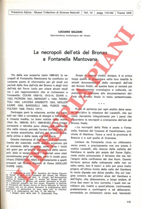 La necropoli dell'età del Bronzo a Fontanella Mantovana.