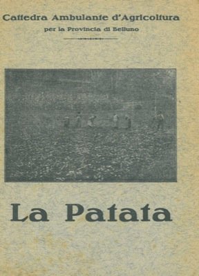 La patata | Immagine Gallery 2