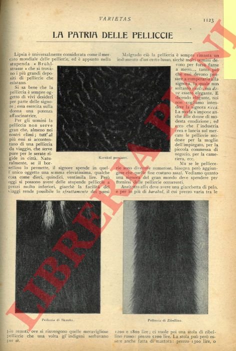 La patria delle pellicce.
