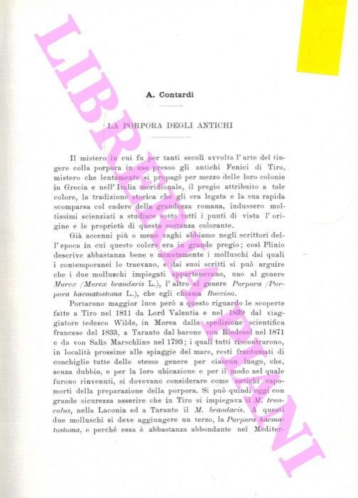 La porpora degli antichi.