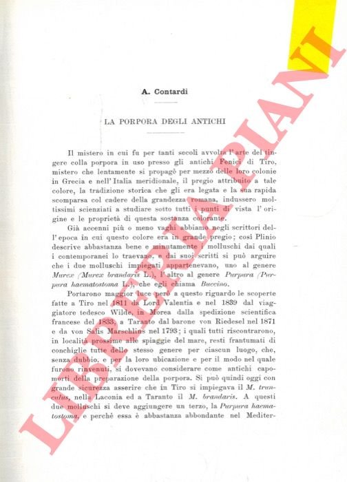 La porpora degli antichi.
