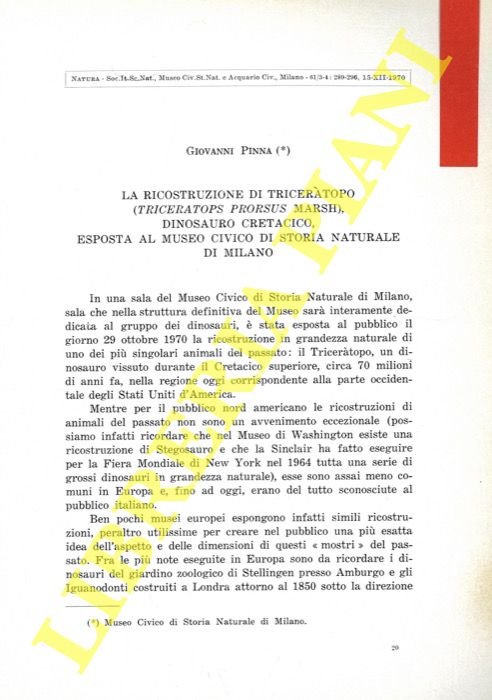 La ricostruzione di Triceratopo (Triceratops prorsus Marsh) dinosauro cretacico, esposta …