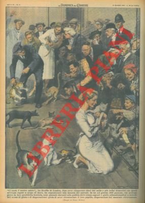 La Società Zoofila di Londra recupera alcuni felini domestici che …