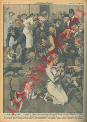 La Società Zoofila di Londra recupera alcuni felini domestici che …