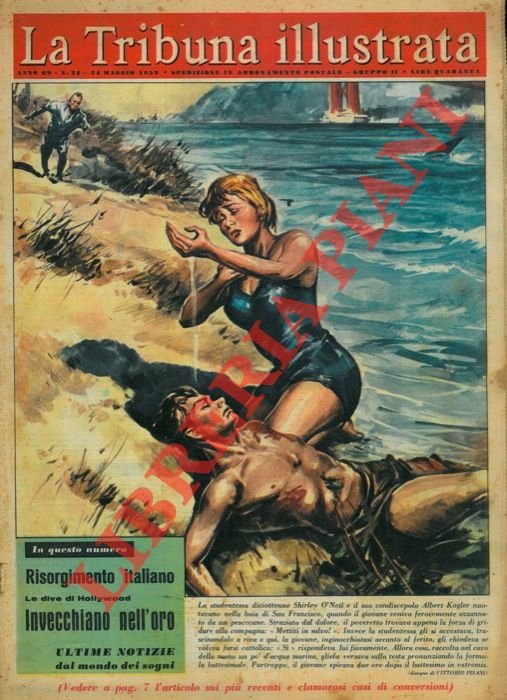 La studentessa diciottenne Shirley O' Neil e il suo condiscepolo …