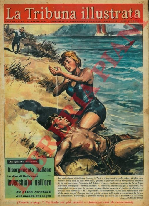 La studentessa diciottenne Shirley O' Neil e il suo condiscepolo …