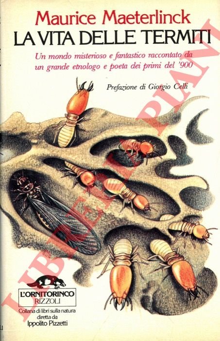 La vita delle termiti. Prefazione di Giorgio Celli.