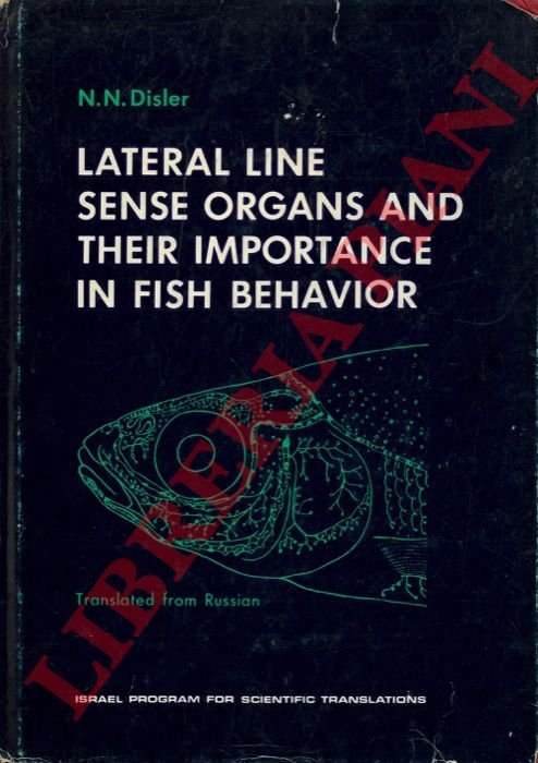 Lateral Line Sense Organs and their Importance in Fish Behavior …