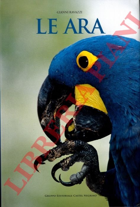 Le ara.