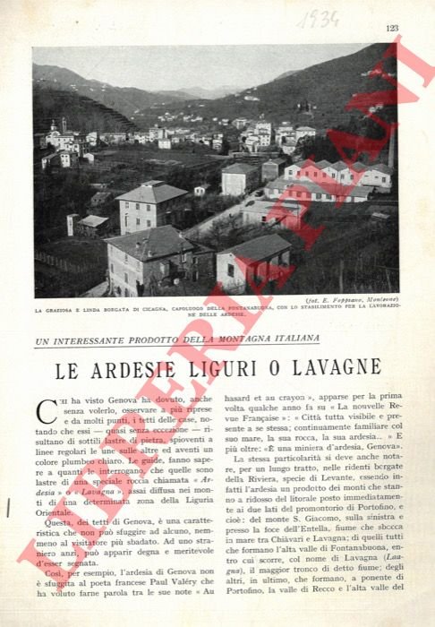 Le ardesie liguri o lavagne.