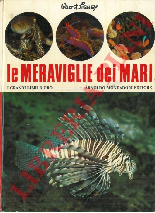 Le meraviglie dei mari.