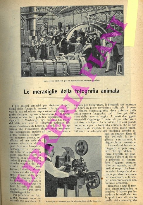 Le meraviglie della fotografia animata.