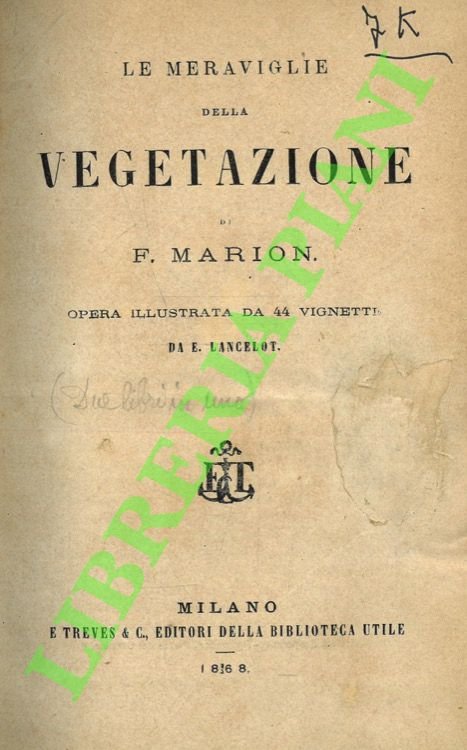 Le meraviglie della vegetazione.