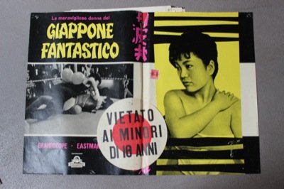 Le meravigliose donne del Giappone fatastico.