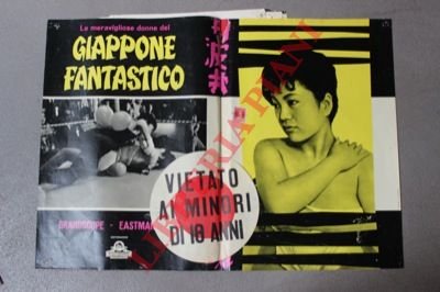 Le meravigliose donne del Giappone fatastico.