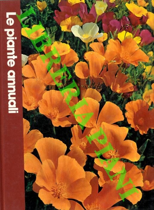 Le piante annuali.