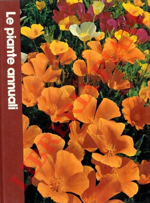 Le piante annuali.
