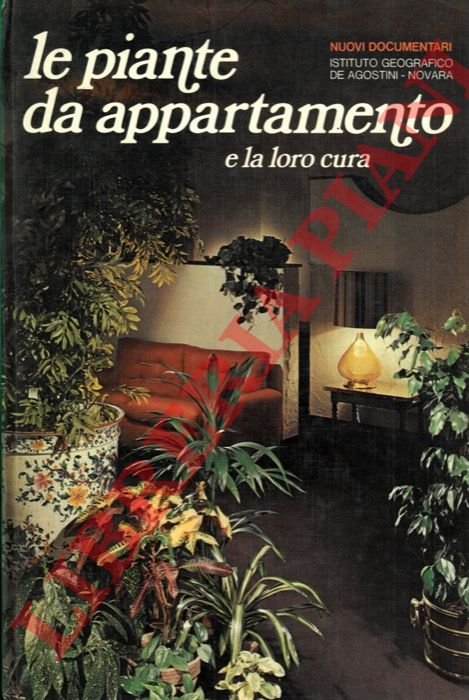 Le piante da appartamento e la loro cura.