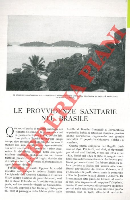 Le provvidenze sanitarie nel Brasile.