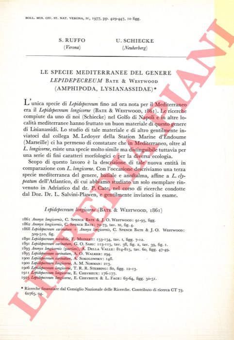Le specie mediterranee del genere Lepidepecreum Bate & Westwood (Amphipoda …