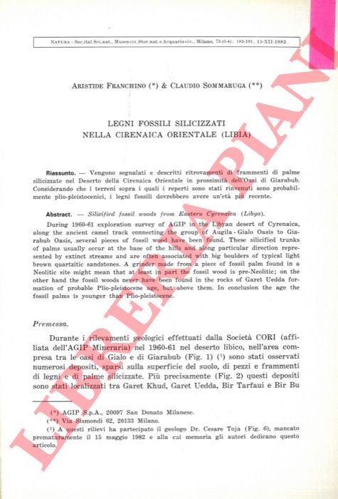 Legni fossili silicizzati nella Cirenaica Orientale (Libia) .