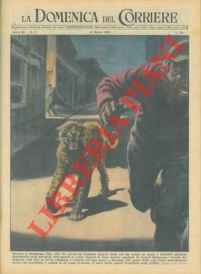 Leopardo fuggito dallo zoo veniva ricondotto nella gabbia dopo tre …