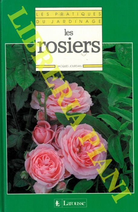 Les rosiers.