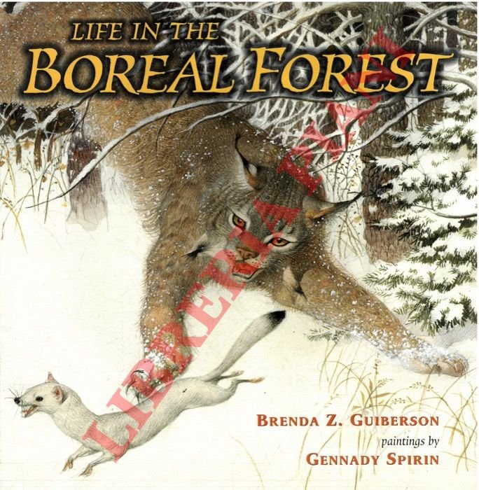 Life in the Boreal Forest.