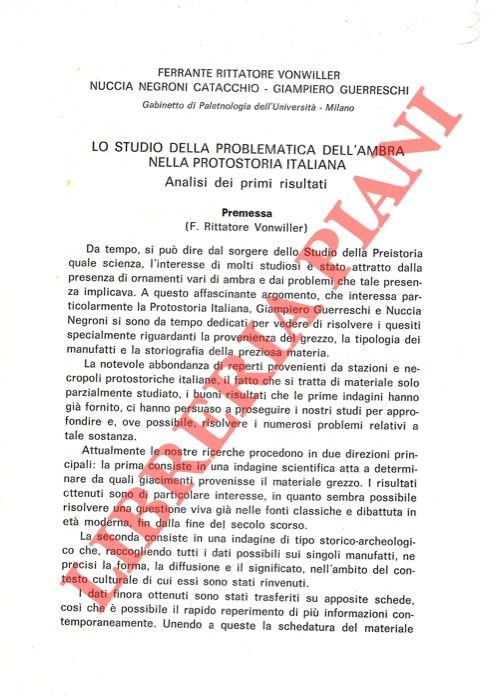 Lo studio della problematica dell'ambra nella protostoria italiana. Analisi dei …